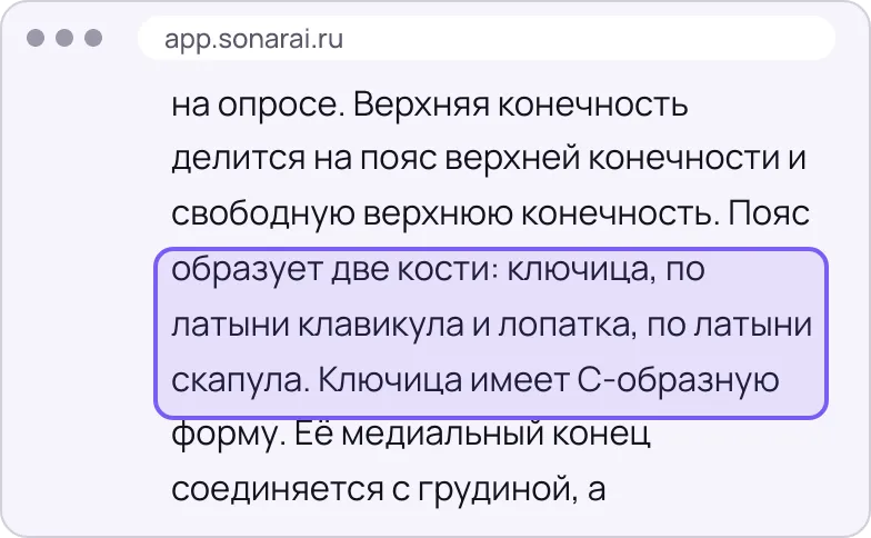 Фрагмент расшифровки: пояс верхней конечности, ключица — клавикула, лопатка — скапула