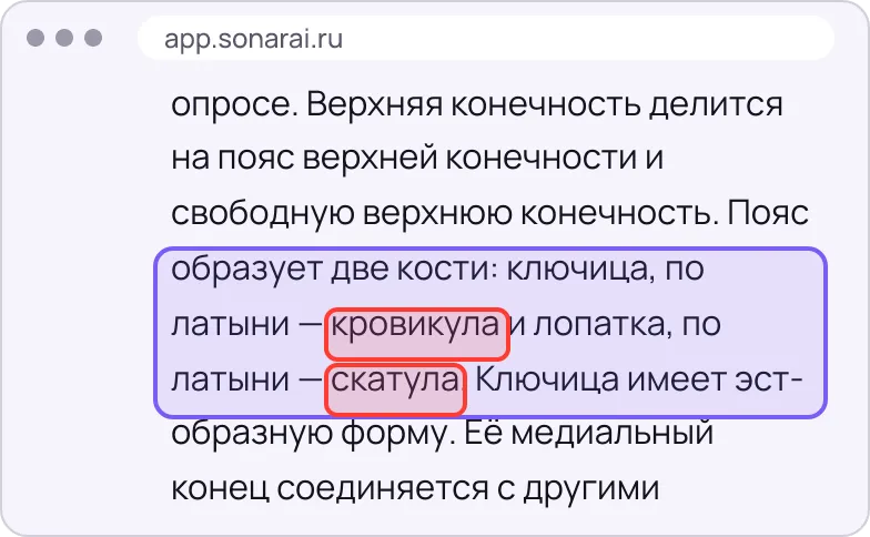 Тот же фрагмент расшифровки с ошибками: вместо клавикулы — кровикула, вместо скапулы — скатула